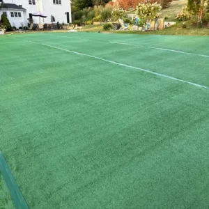 Green Turf
